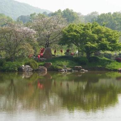 湖北武汉天气预报，春日多变，出行需备伞