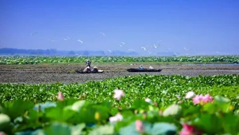 洪湖天气，水乡的呼吸与时光